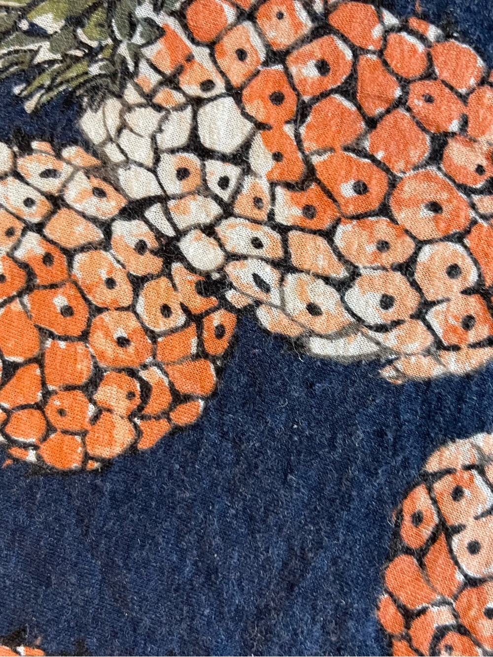Lucky Brand Navy Pineapple Print V-Neck Top - Picture 5 of 7